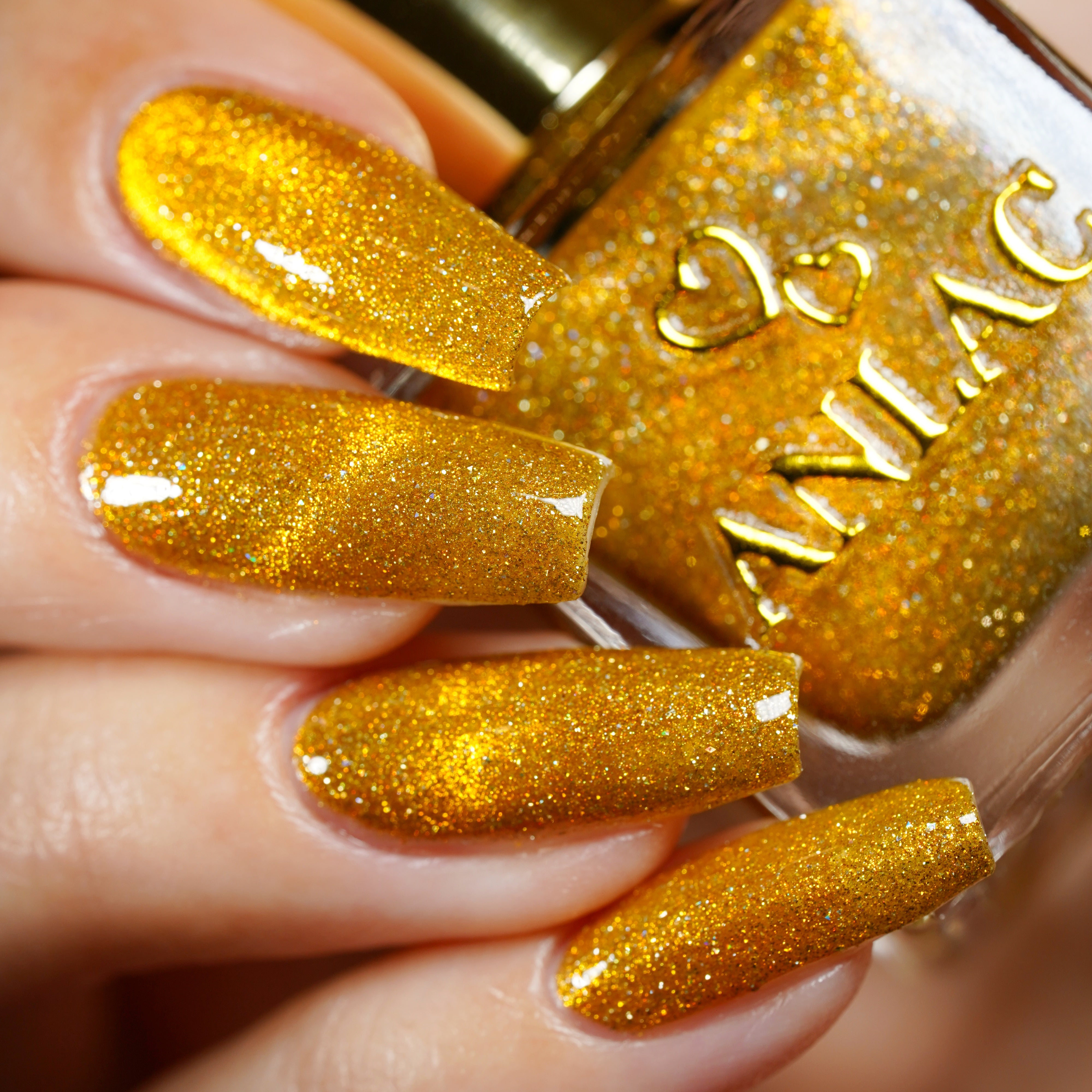 Lacquer Drop - Northern Fall Bundle