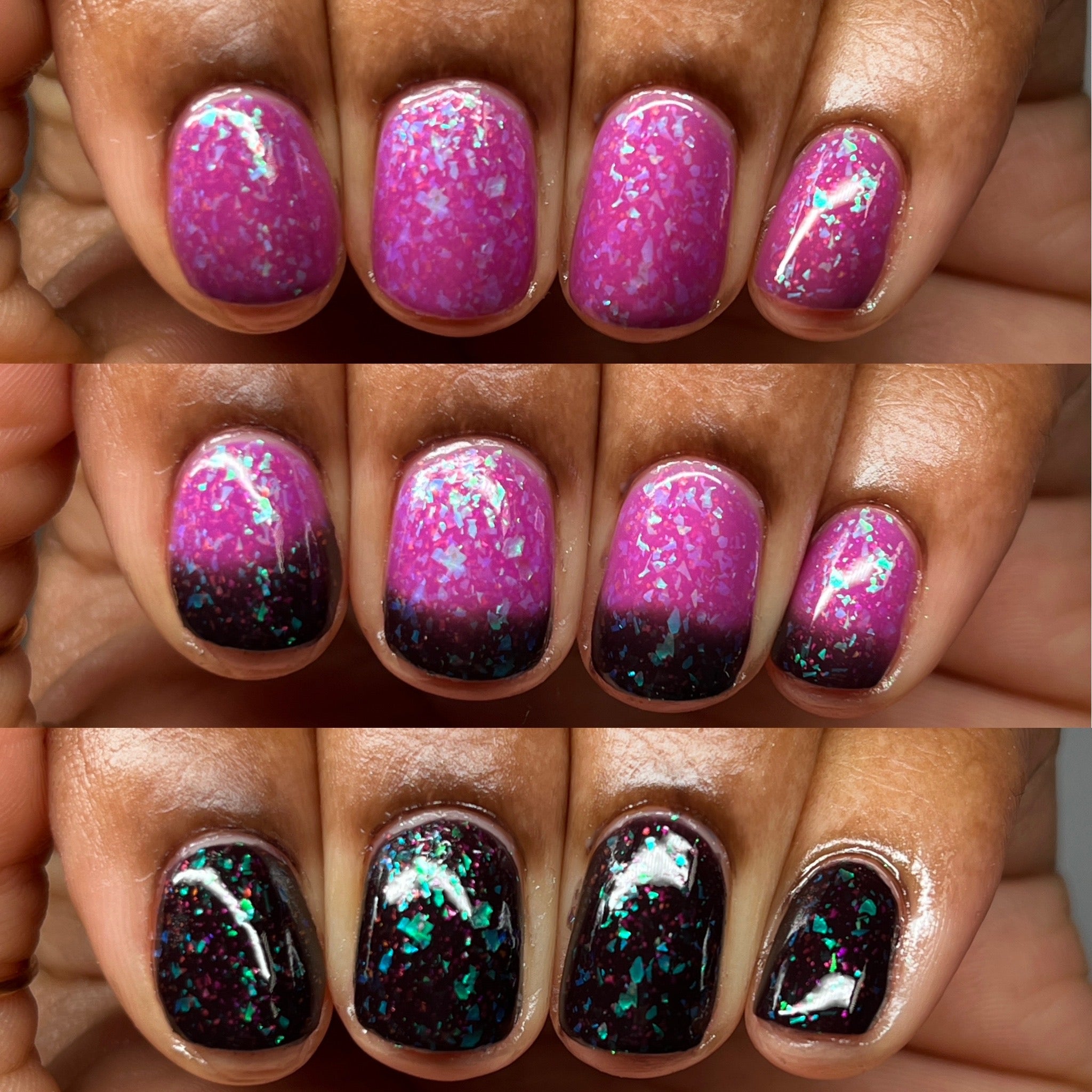 Winter 2025 Full Collection (6 Bottles)