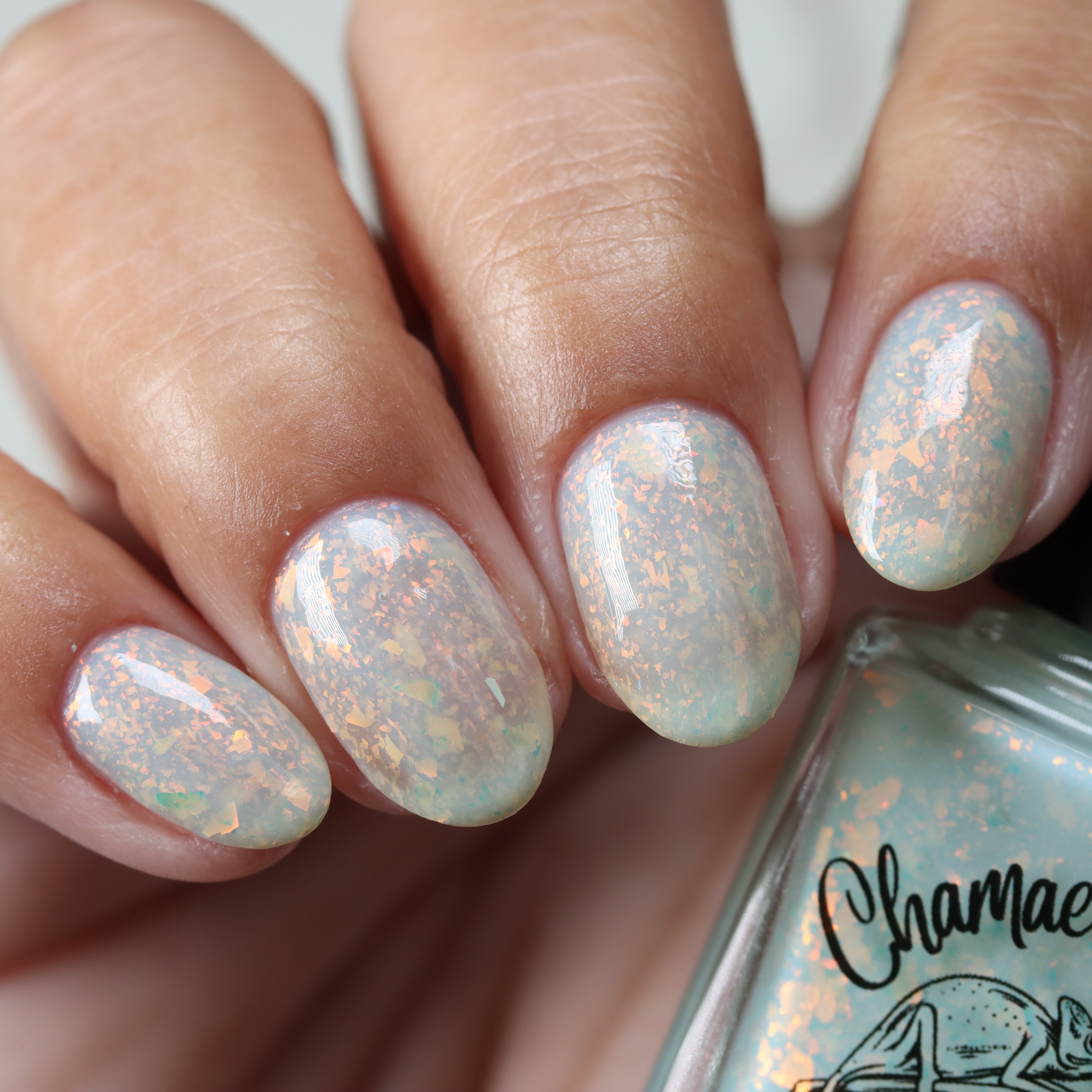 Sunset at the Ocean Shore (UV Polish)