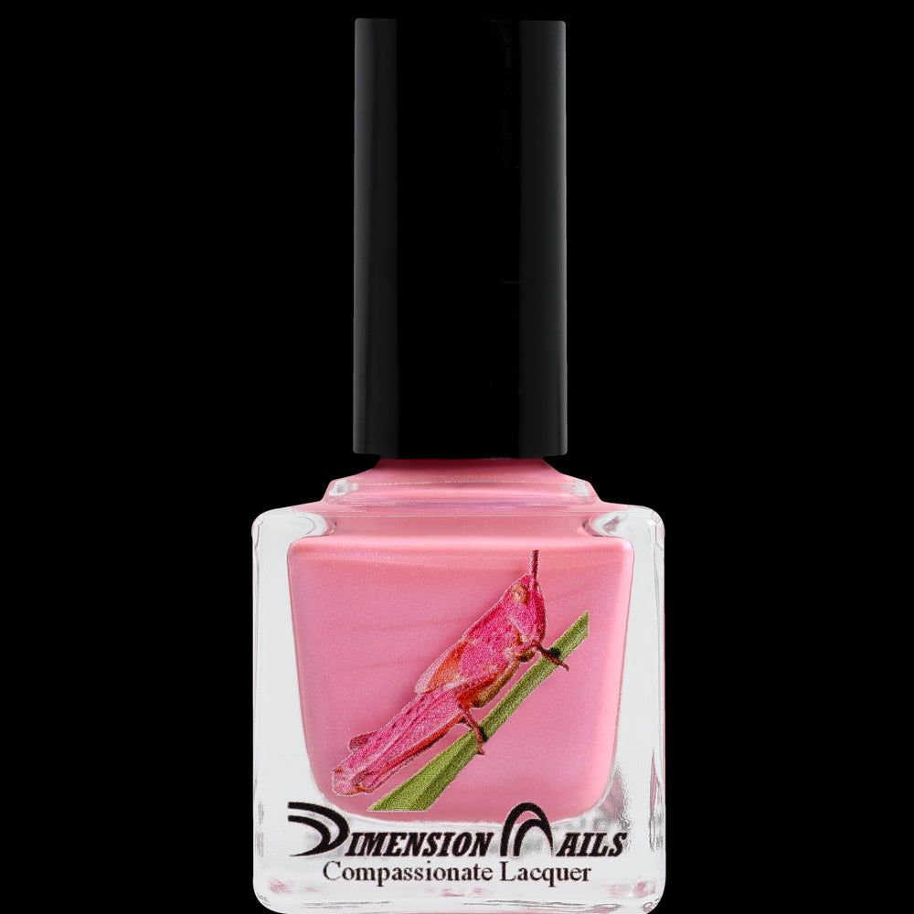 Pink Grasshopper