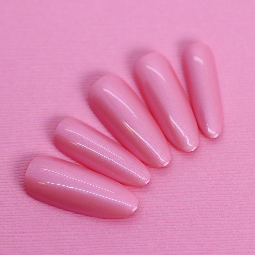 Pink Grasshopper