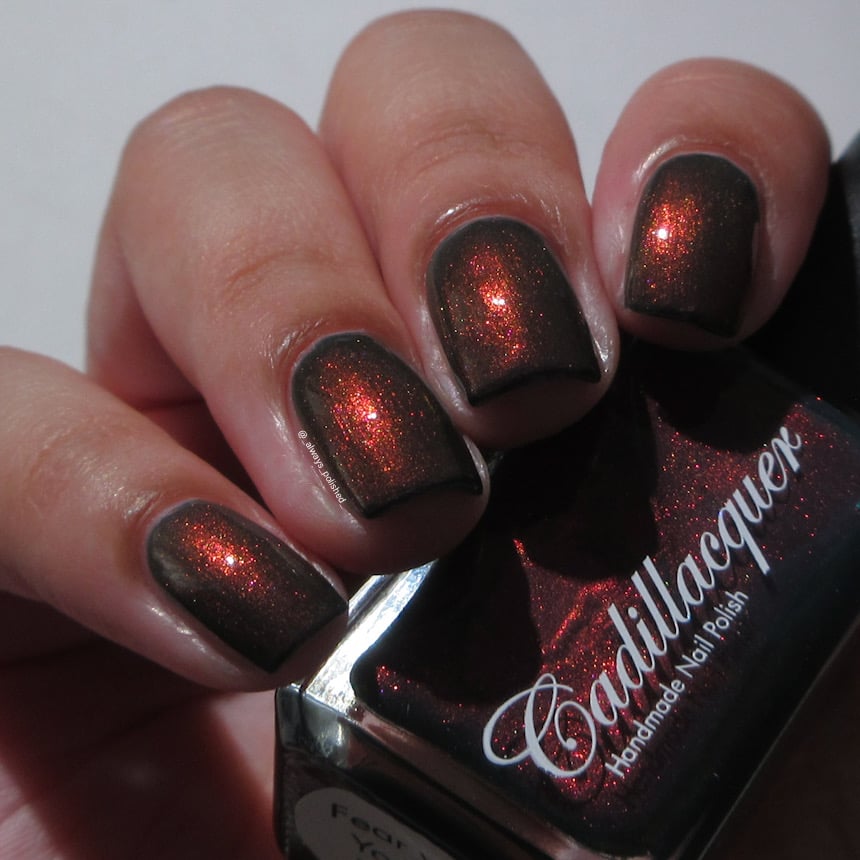 Shimmer Cadillacquer nail polish swatch in Fear What You Will Become, showing a near-black dark base with vivid orange-red and magenta shimmer flash across eight squoval nails on light skin, photographed under indoor warm lighting alongside the Cadillacquer bottle, swatched by @_always_polished_