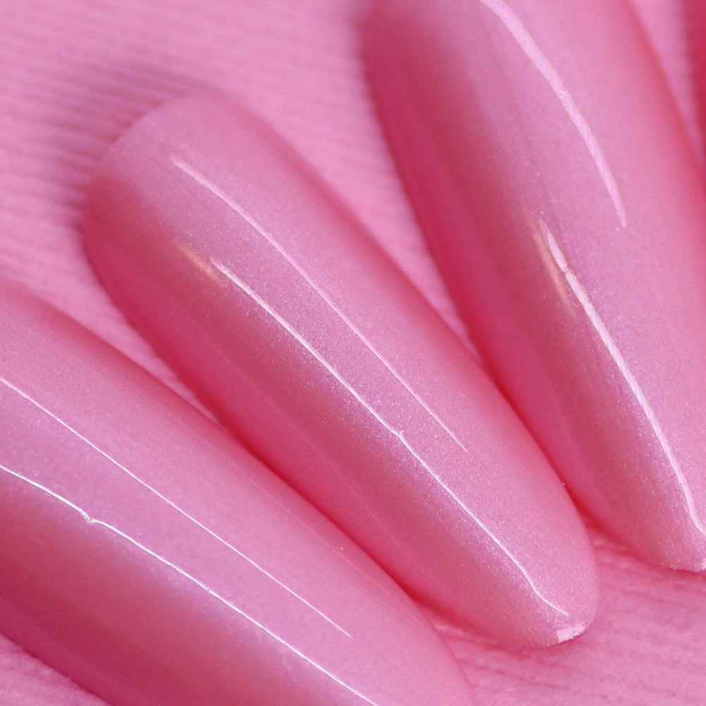 Pink Grasshopper