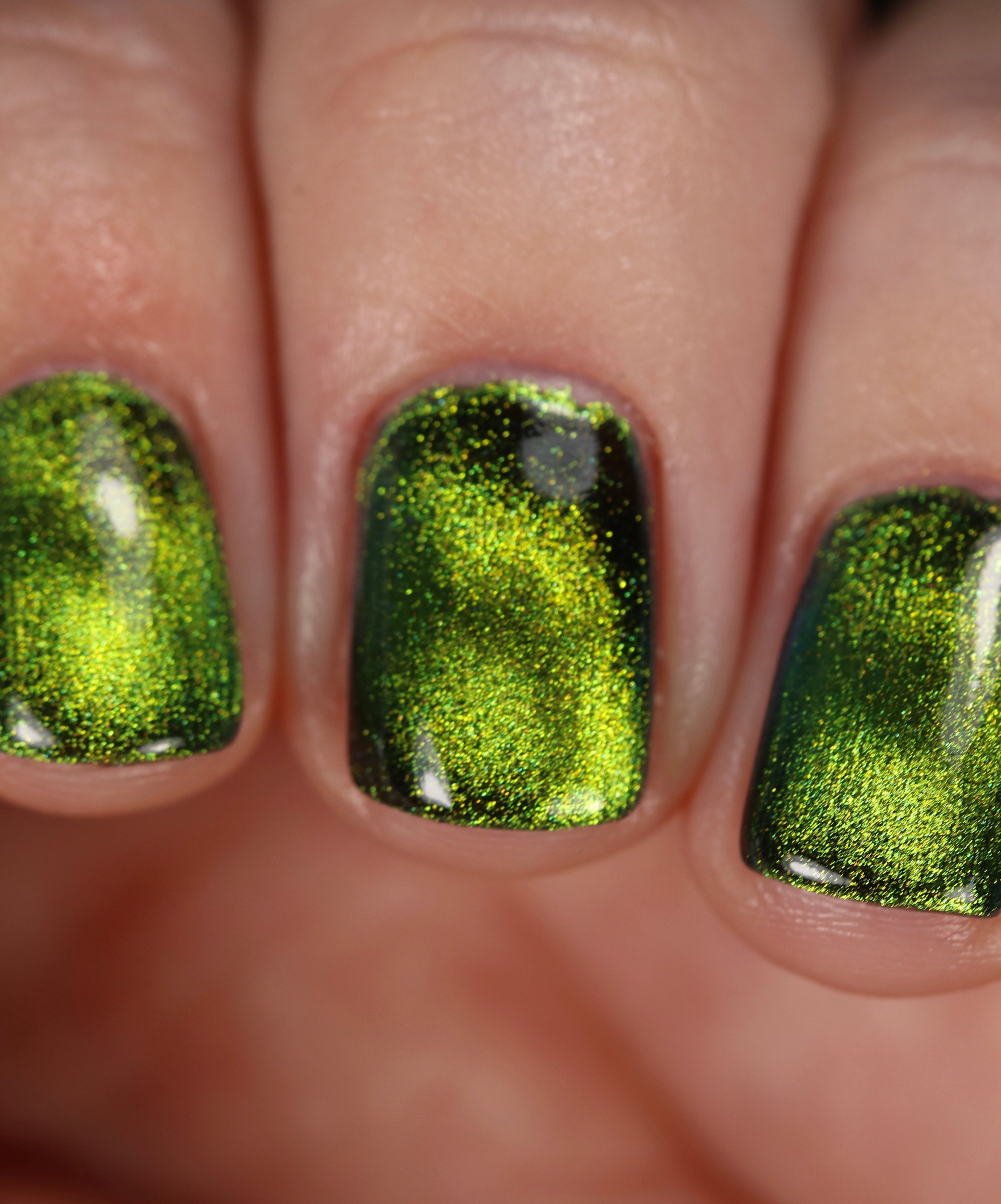 Absinthe