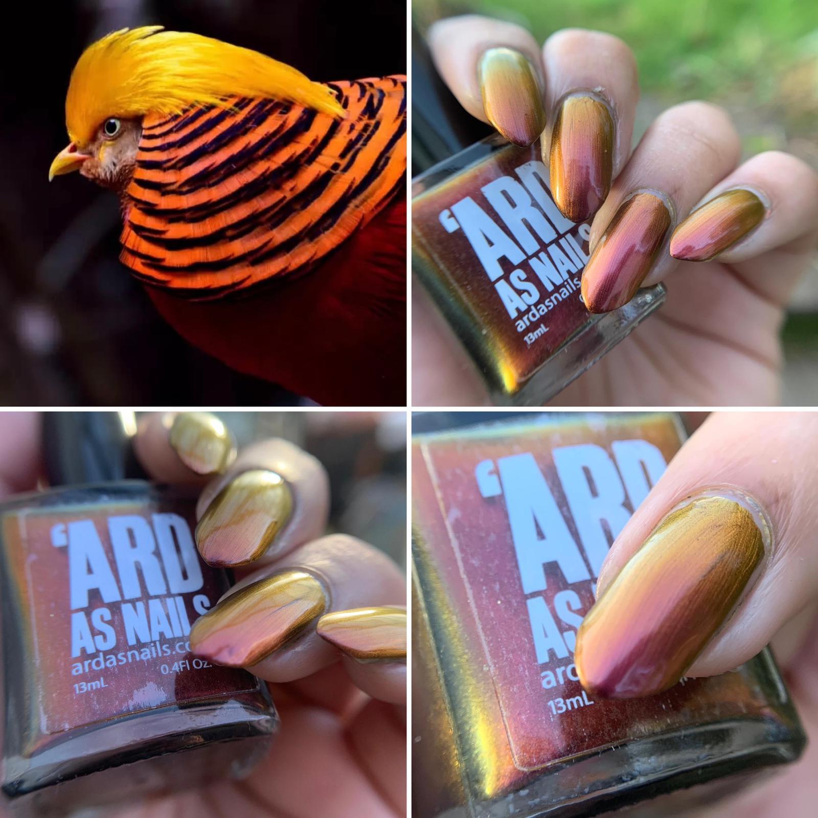 Pheasant