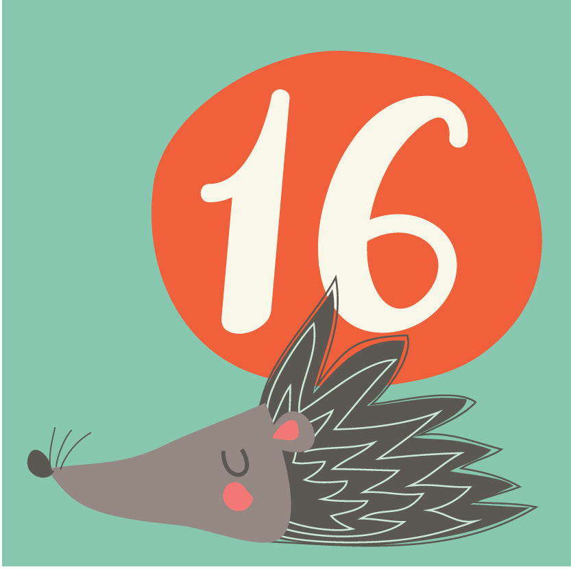 Day 16