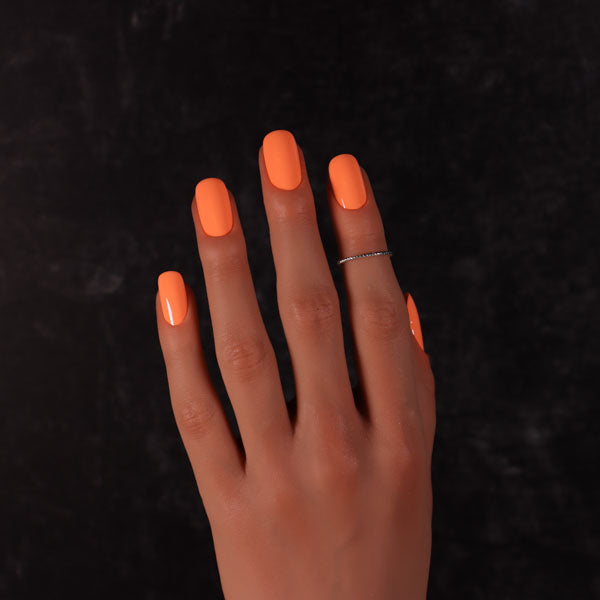 Dimension Nails - The Great Barrier Reef - Soldierfish