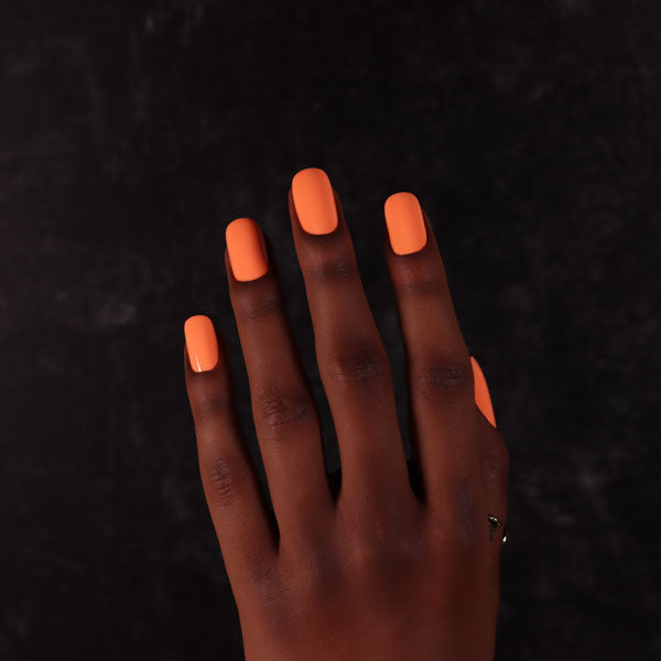 Dimension Nails - The Great Barrier Reef - Soldierfish