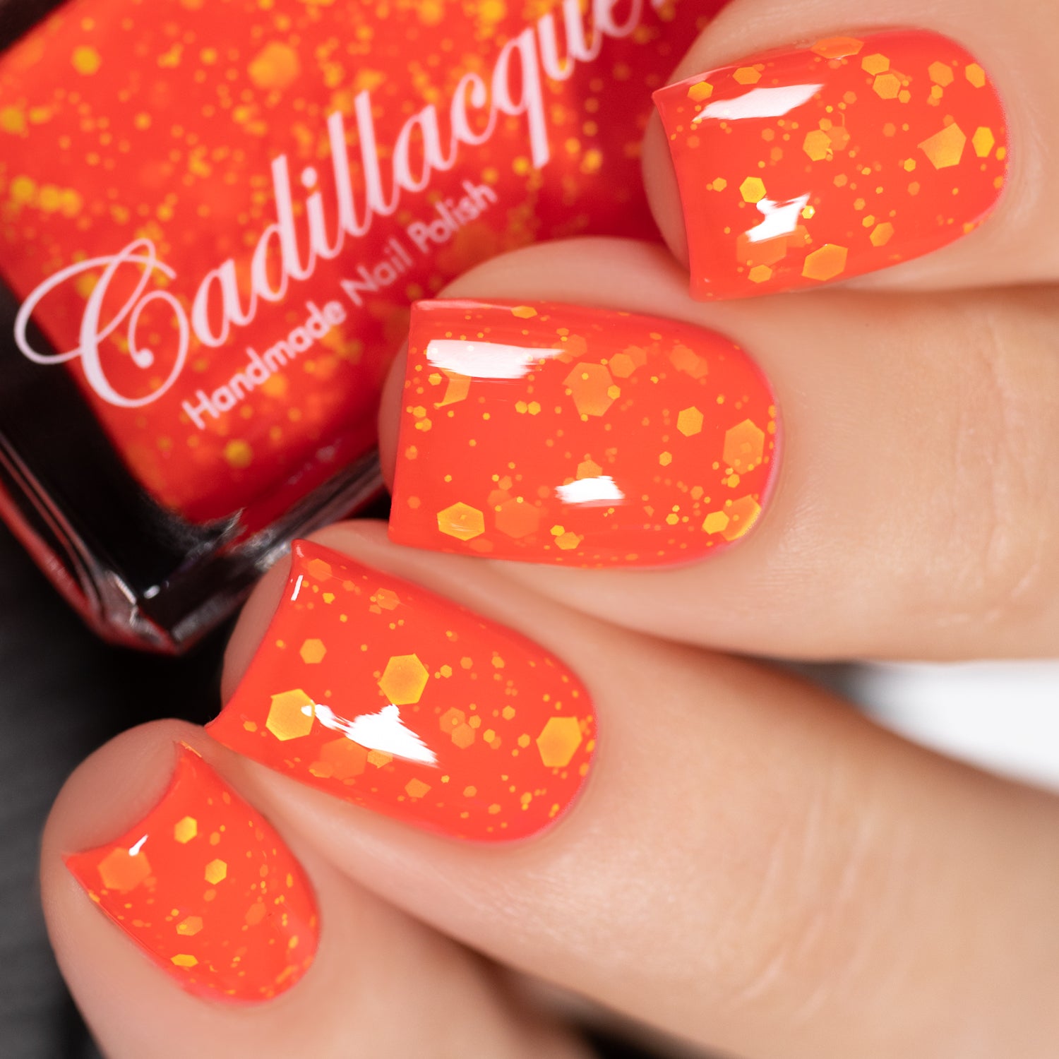 Fall & Halloween - Vermilion