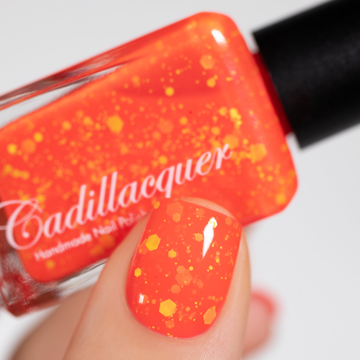 Fall & Halloween - Vermilion