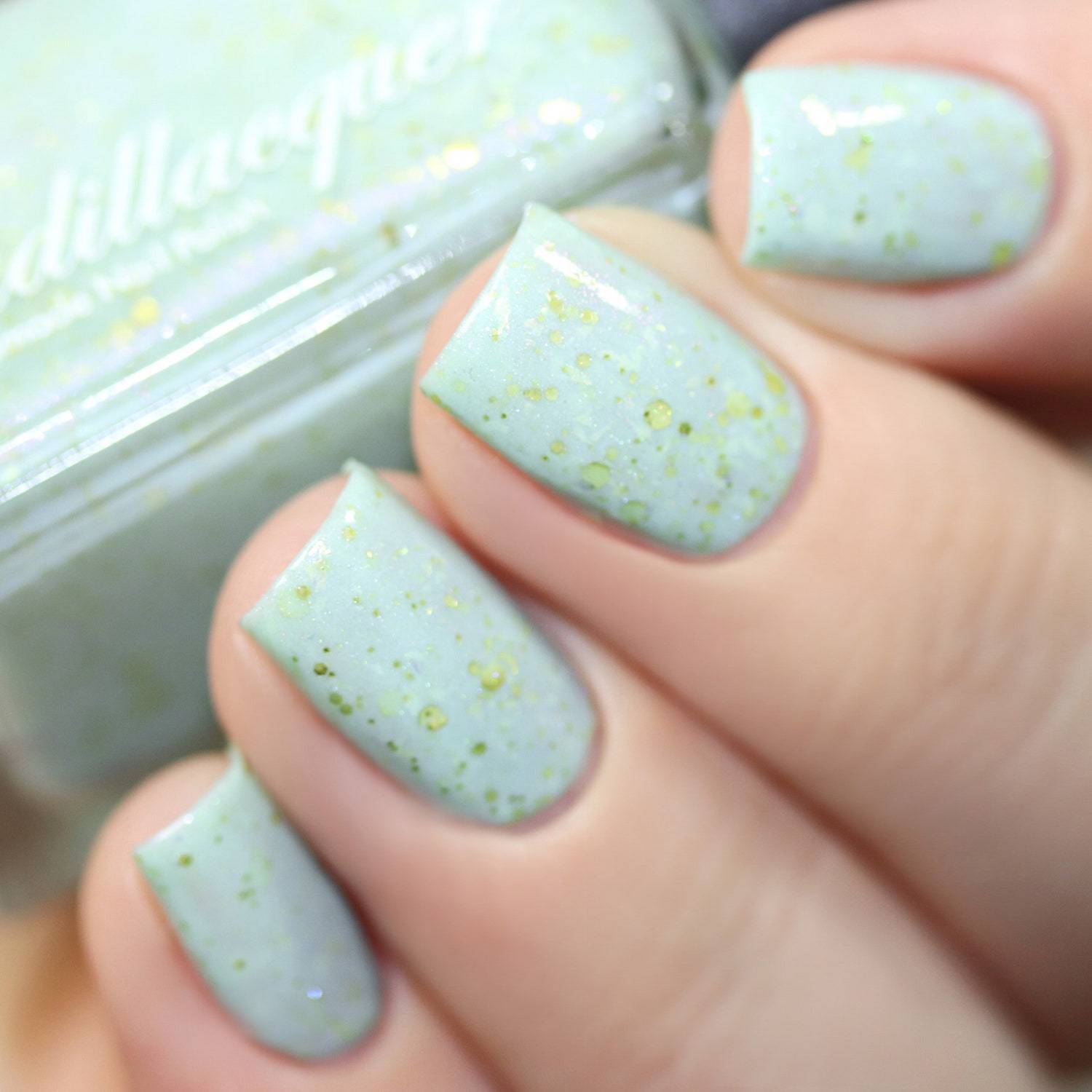 Cadillacquer - All I Need - Equus