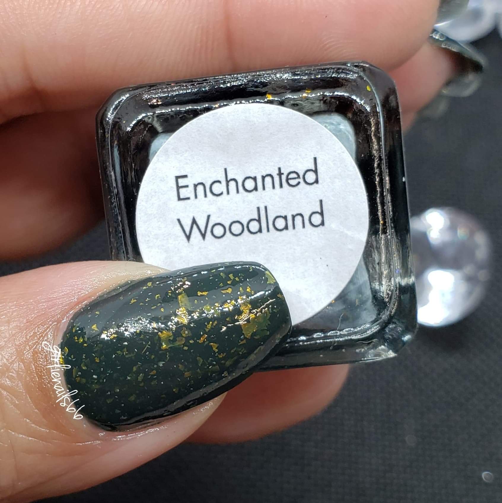 Enchanted Woodland