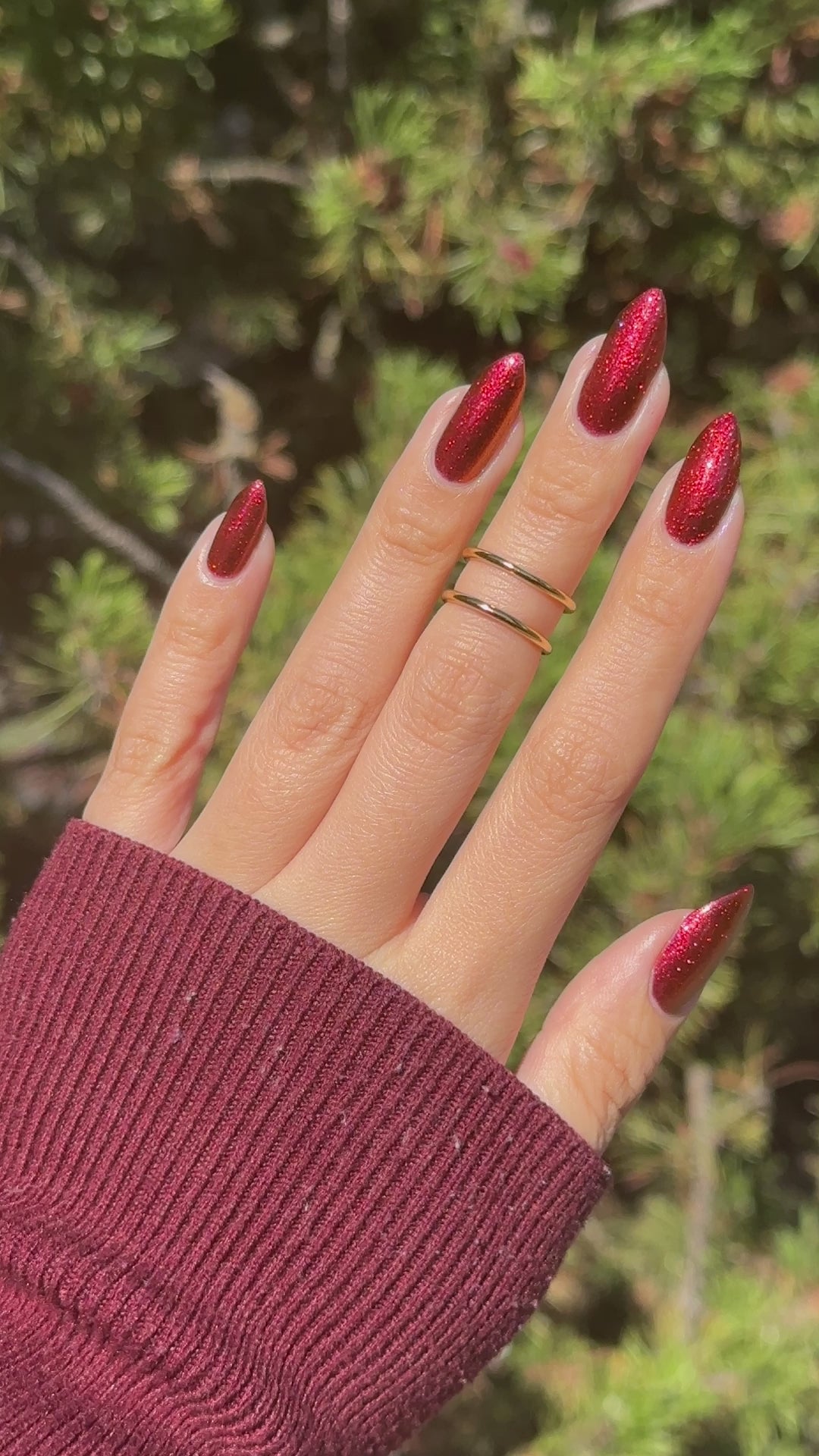 Don't Disturb the Damned