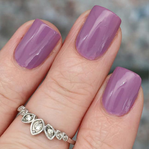 City Rain Collection Full Collection (6 Bottles)