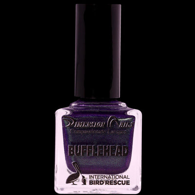 Bufflehead