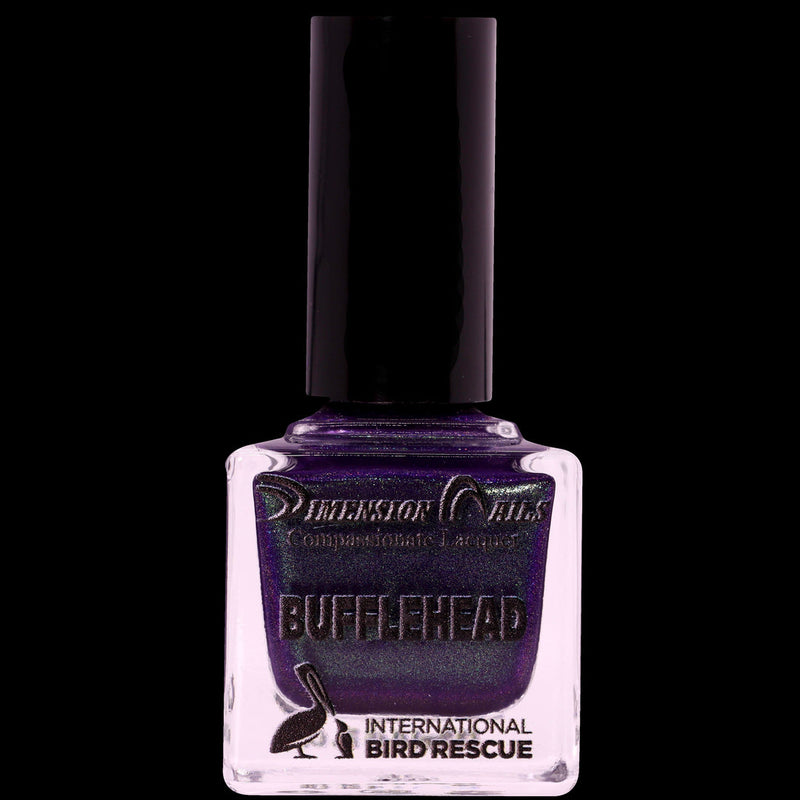 Dimension Nails - International Bird Rescue - Bufflehead