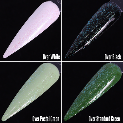 Asterina Sea Star (Topper)