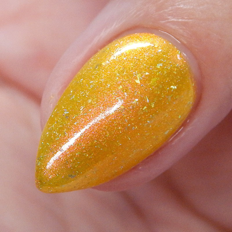 Meet a Deer Friend in Nara