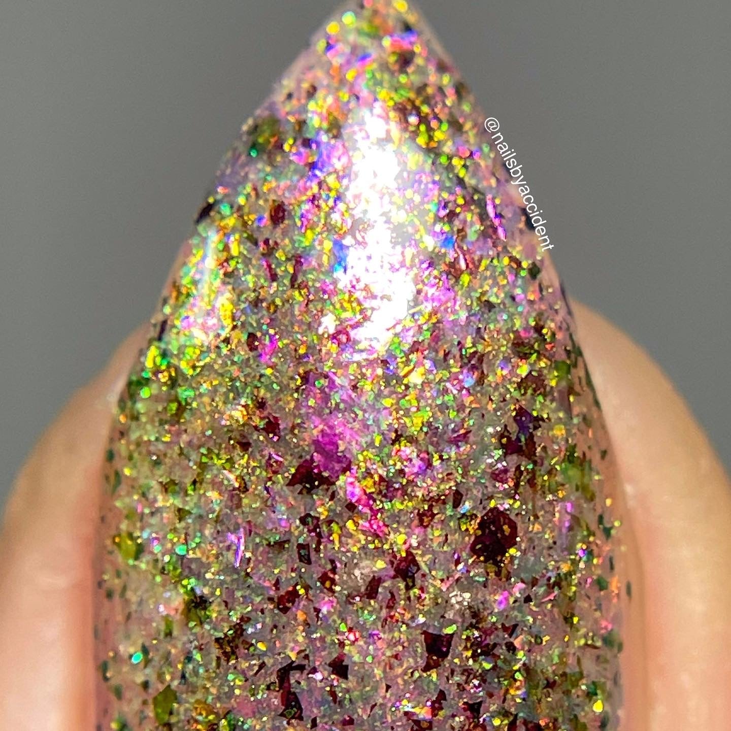 Ayla the Scoliosis Dolphin