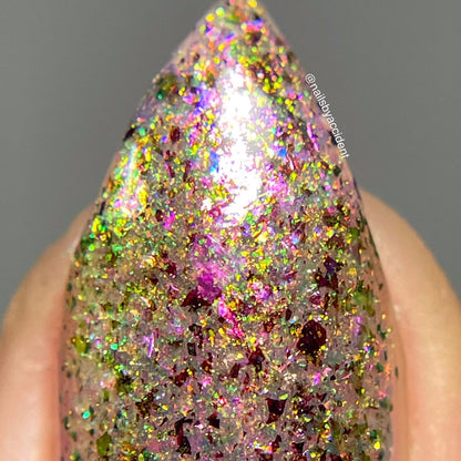 Ayla the Scoliosis Dolphin