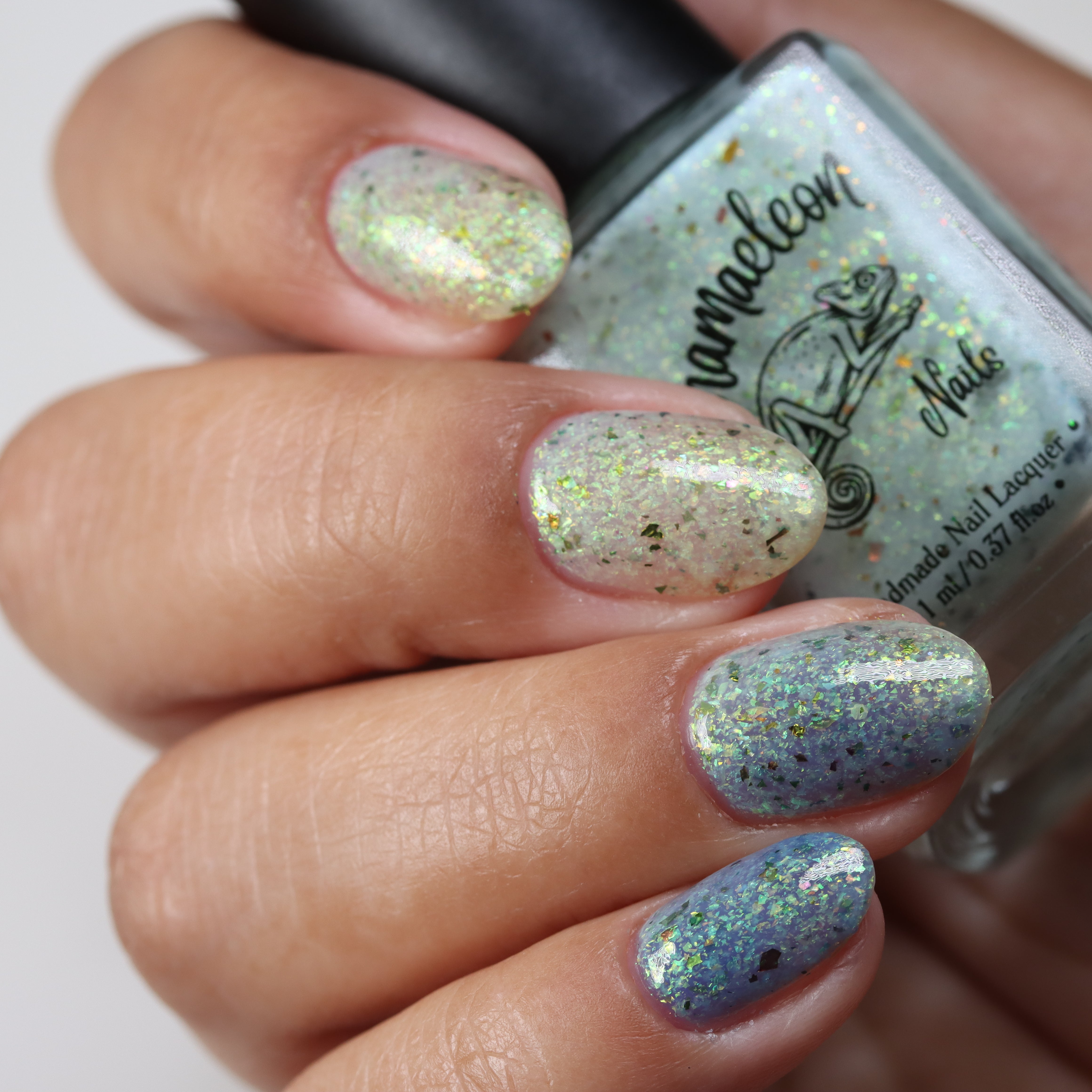 The Forgotten Lagoon (UV Polish)