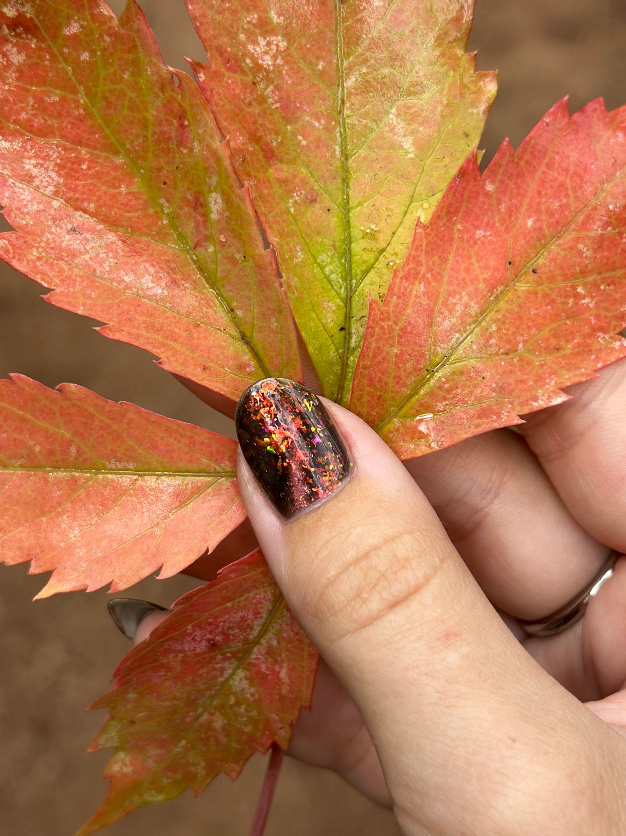 The Crunchiest Fall Leaf (Magnetic)