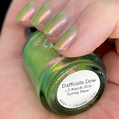 Daffodils Dew