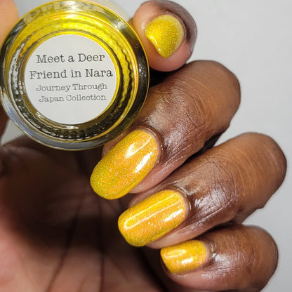 Meet a Deer Friend in Nara