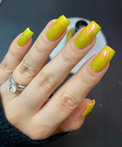 Meet a Deer Friend in Nara