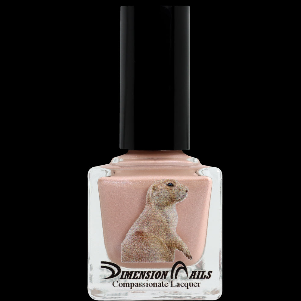 Prairie Dog