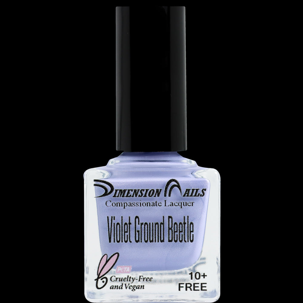 Violet Ground Beetle