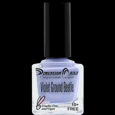 Violet Ground Beetle