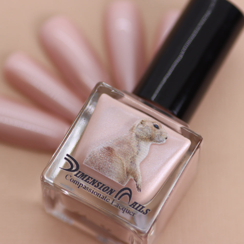 Prairie Dog