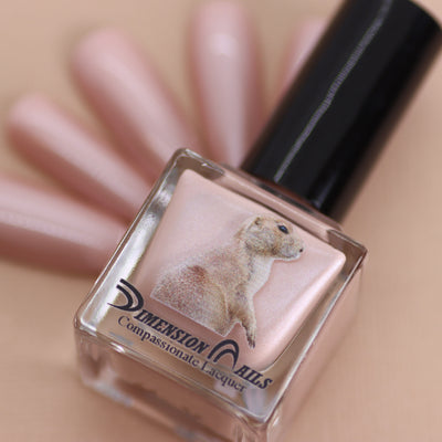 Prairie Dog