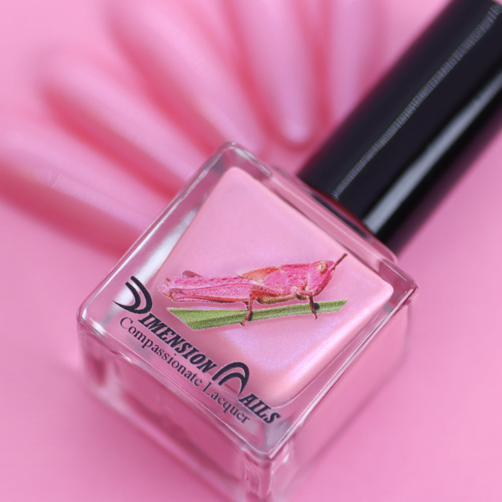 Pink Grasshopper