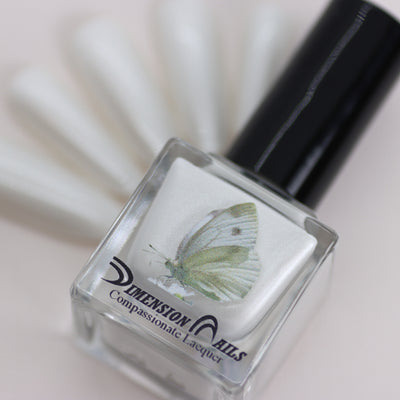 Cabbage White Butterfly
