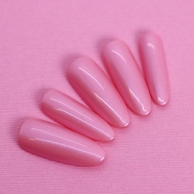 Pink Grasshopper