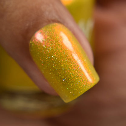 Meet a Deer Friend in Nara