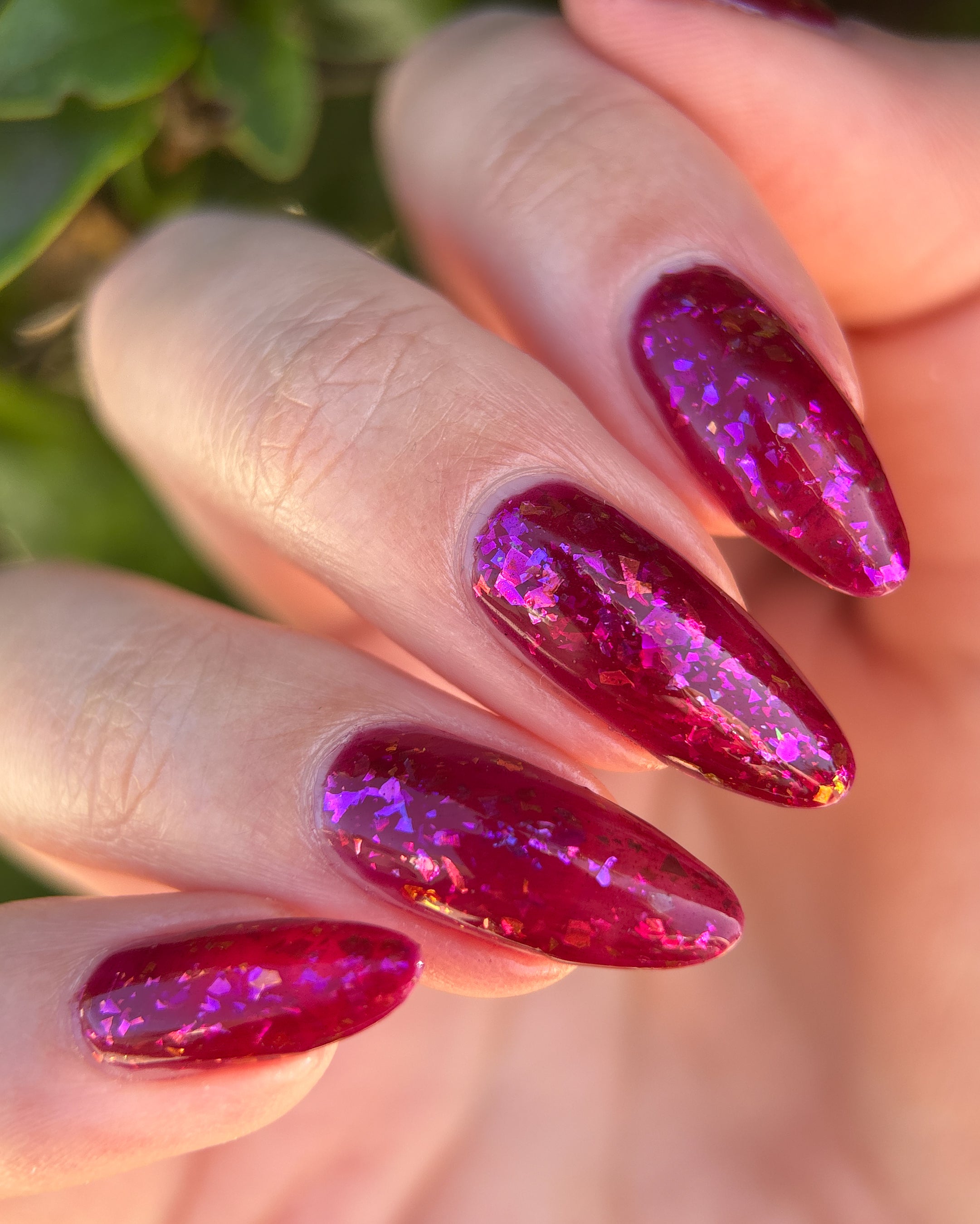 Fallen Rose Petals