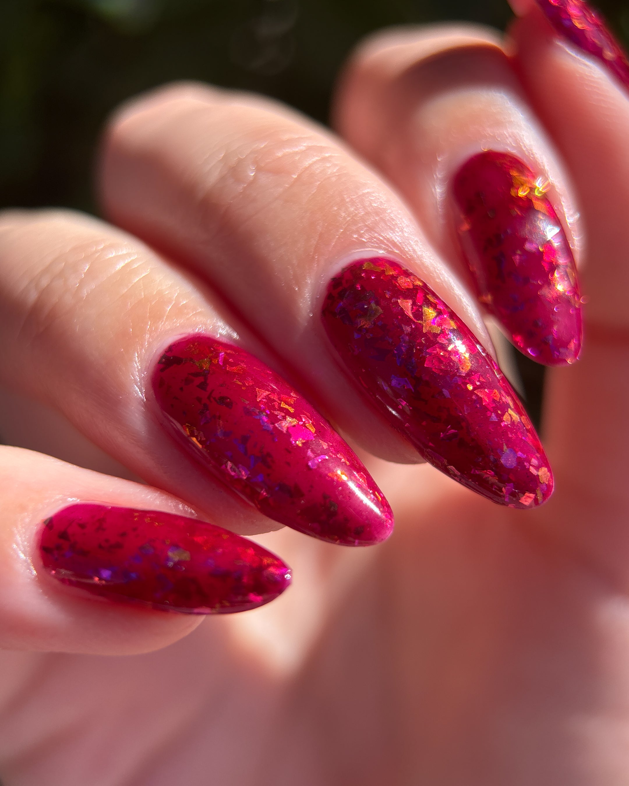 Fallen Rose Petals