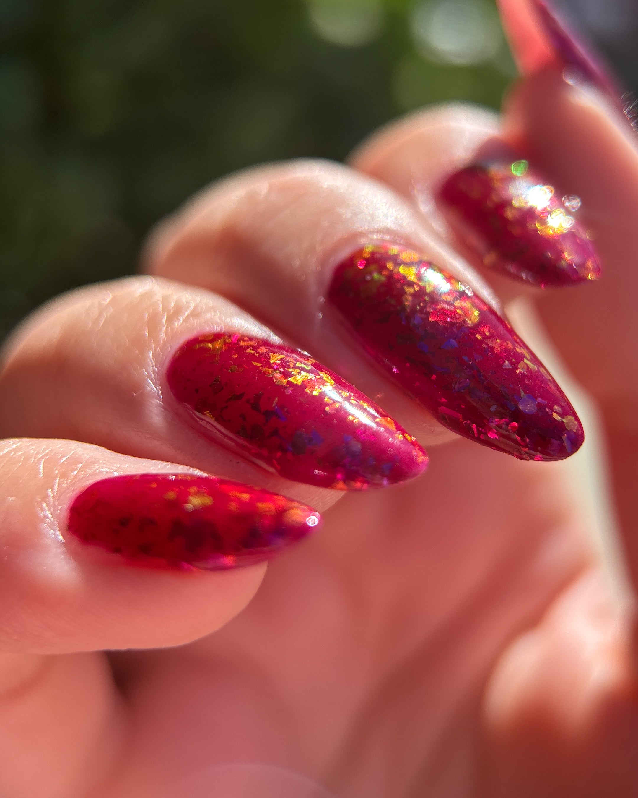 Fallen Rose Petals