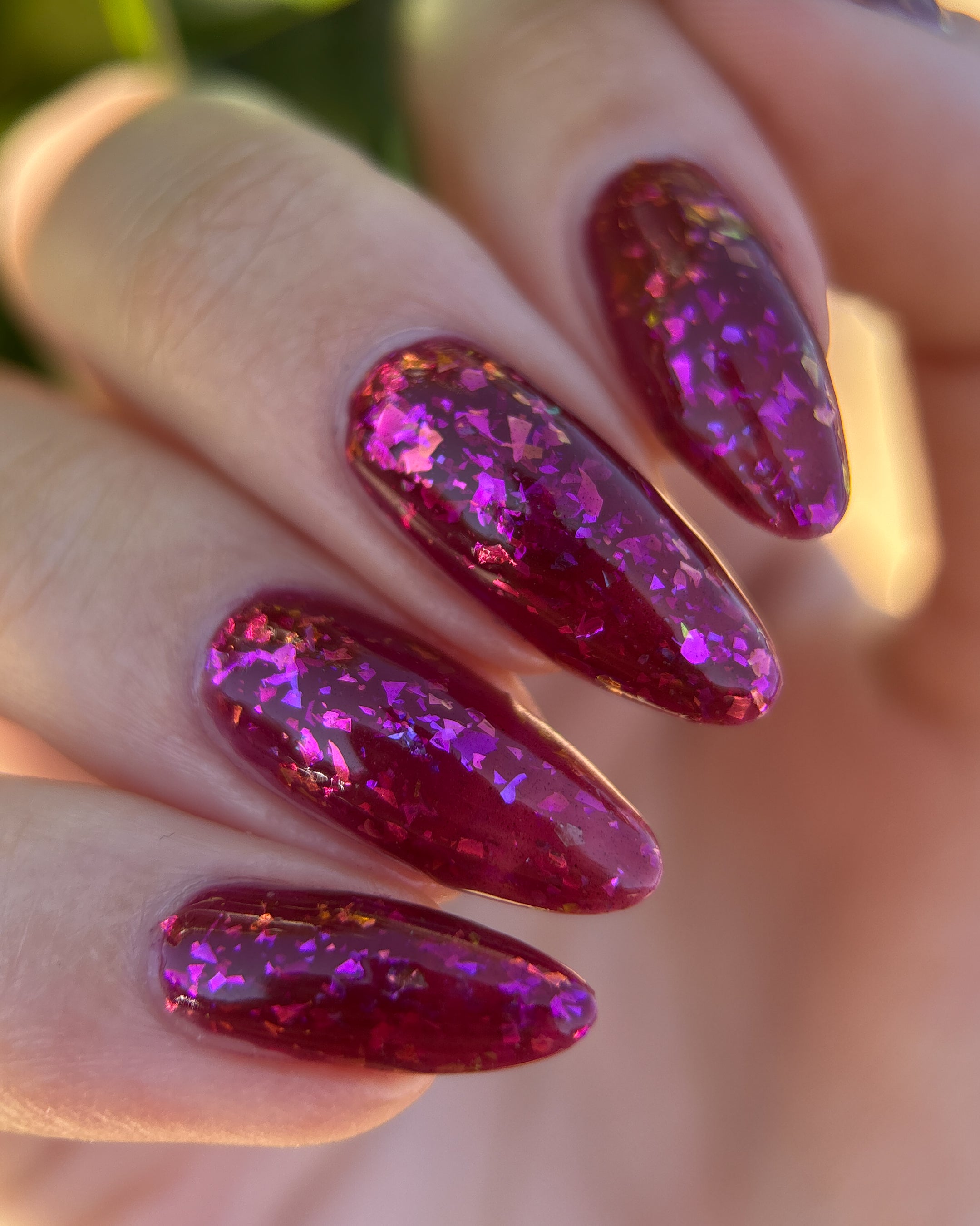 Fallen Rose Petals