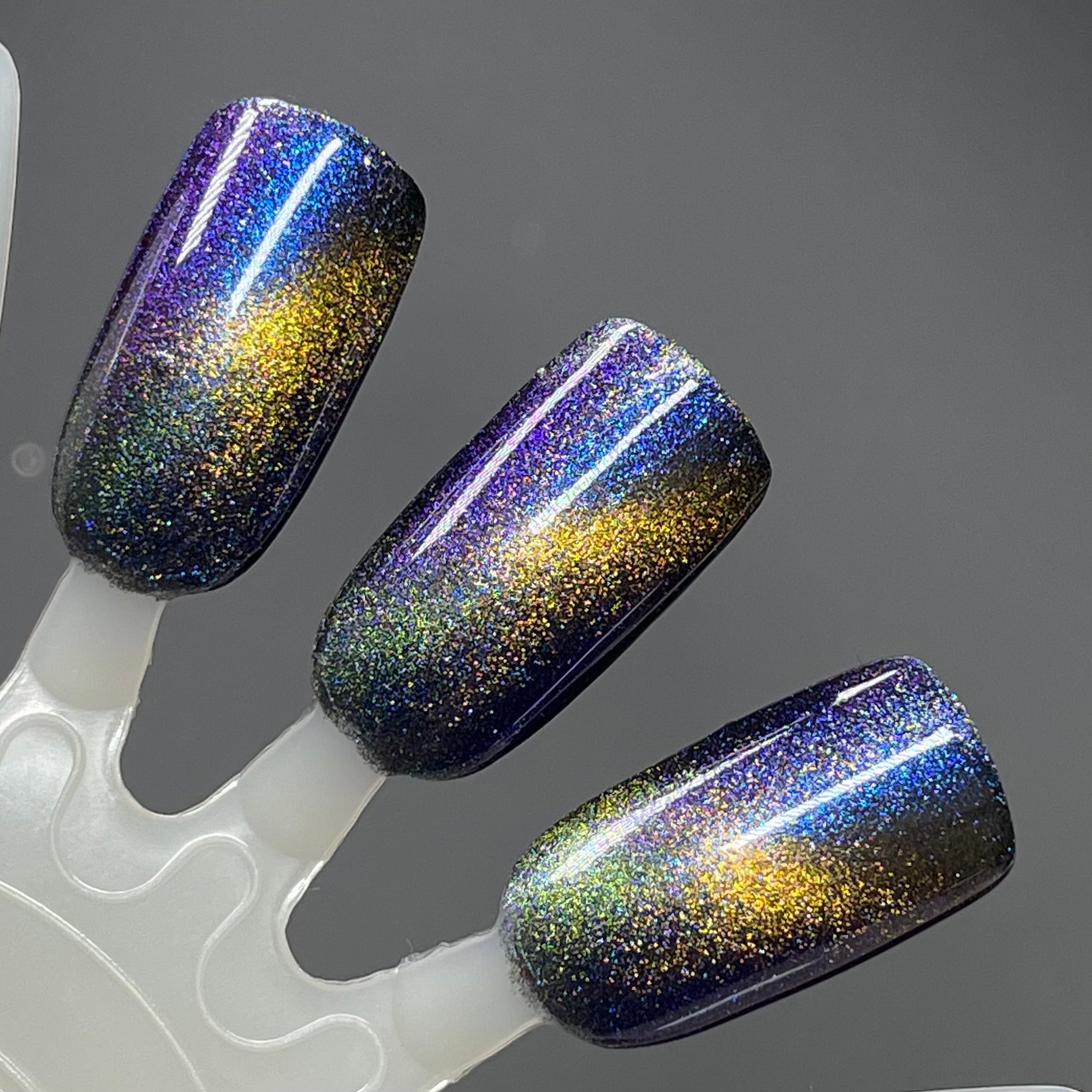 Chinese Zodiac Collection Full Collection (12 Bottles)