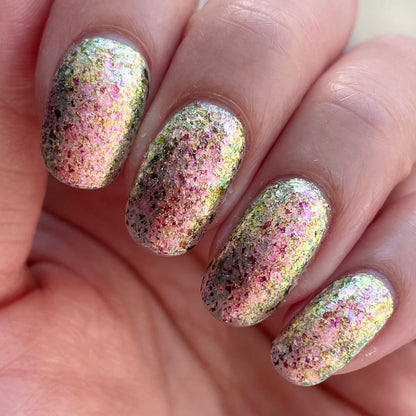 Ayla the Scoliosis Dolphin