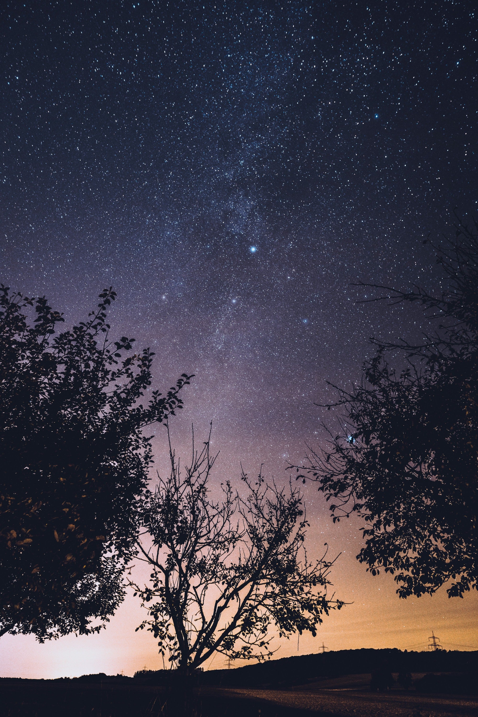 Fall Skies
