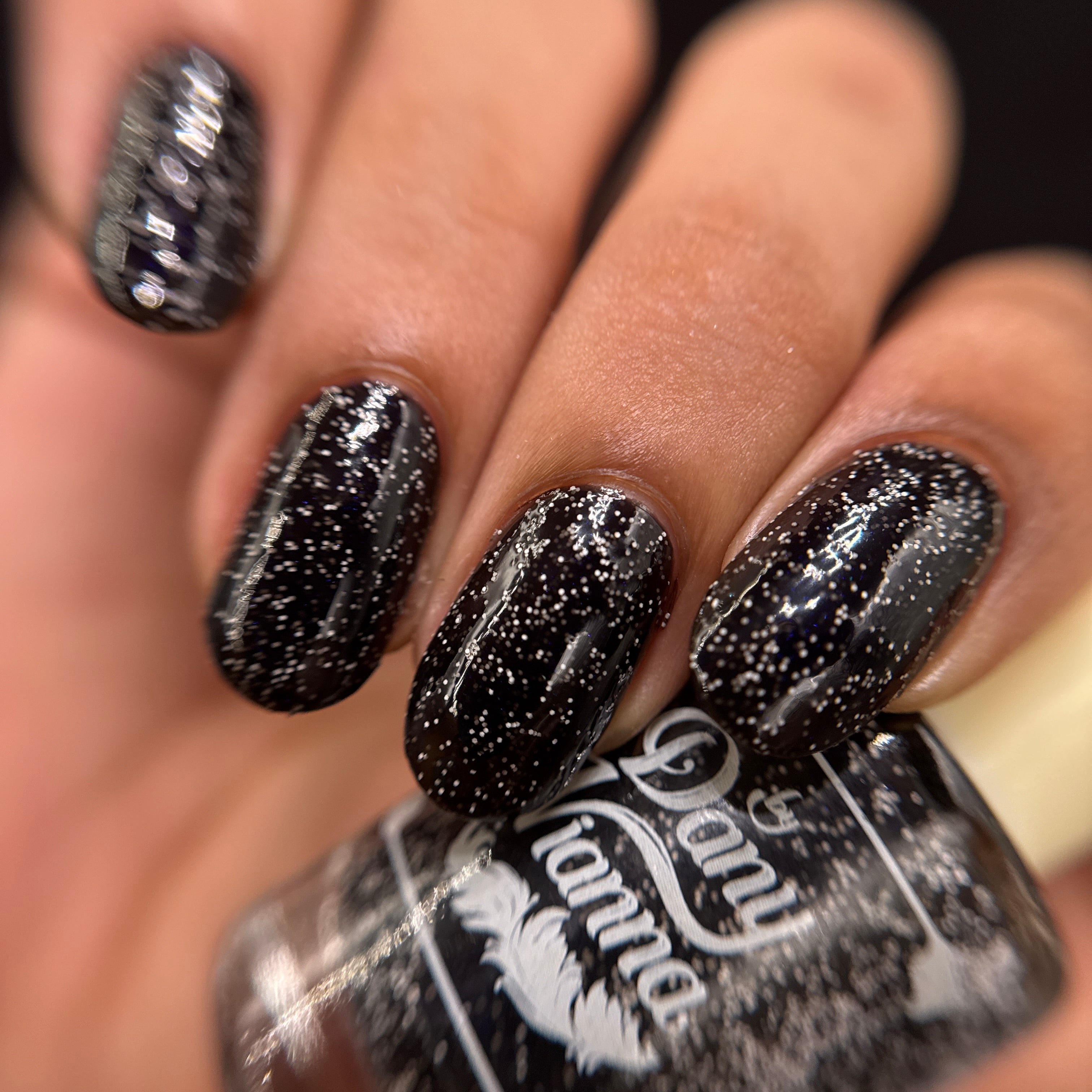 Starry Night Metalmark