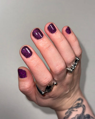 Black Dahlia