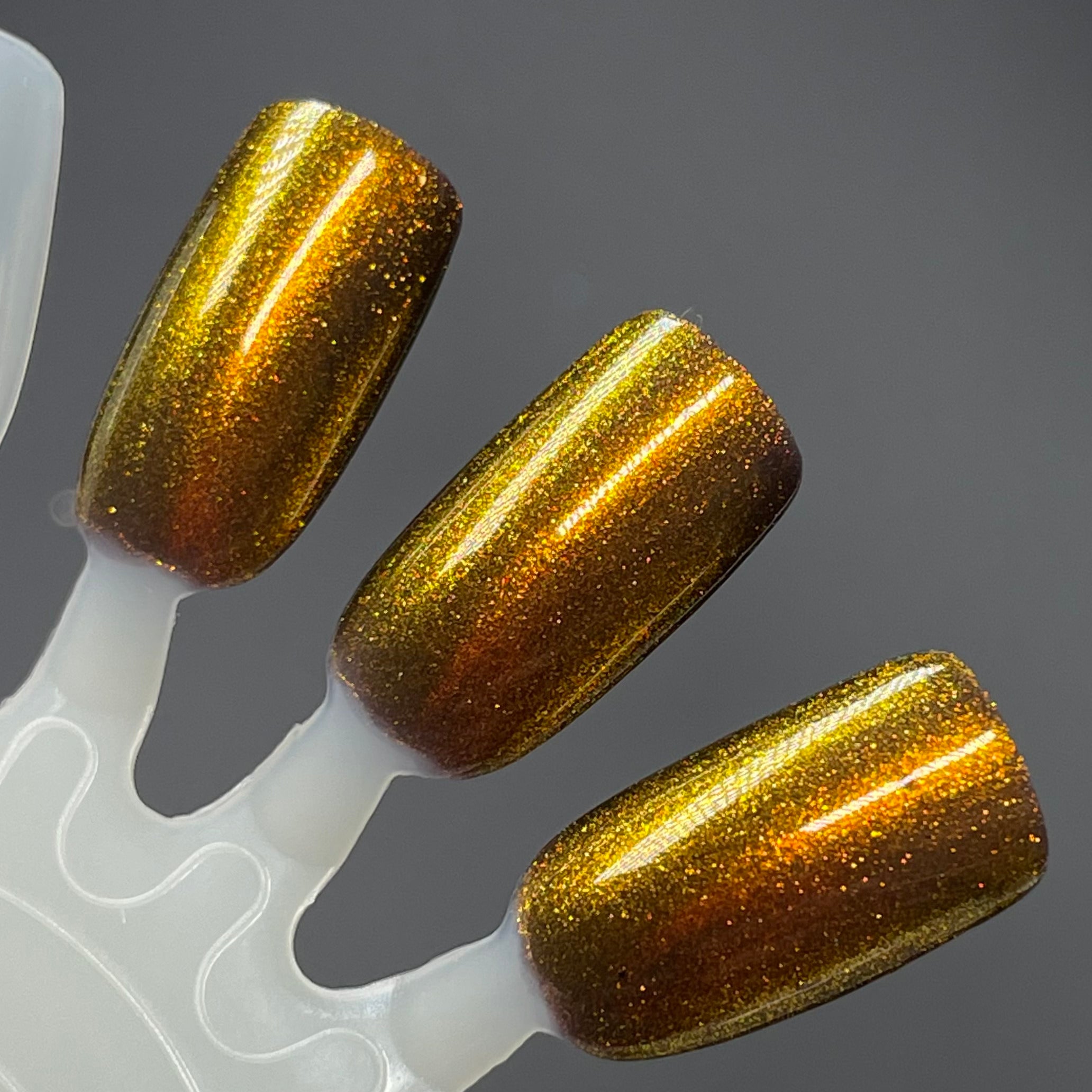 Chinese Zodiac Collection Full Collection (12 Bottles)