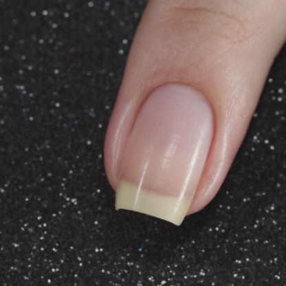 Celestial (Magnetic)