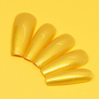 Great Indian Hornbill